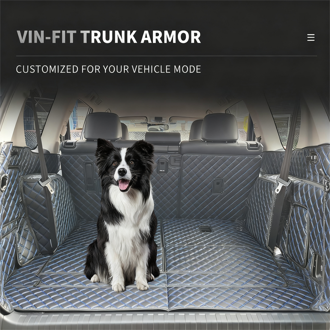 Should Dogs Sit in the Front or Back of a Car? How Can Waterproof Car Boot Liners Help?
